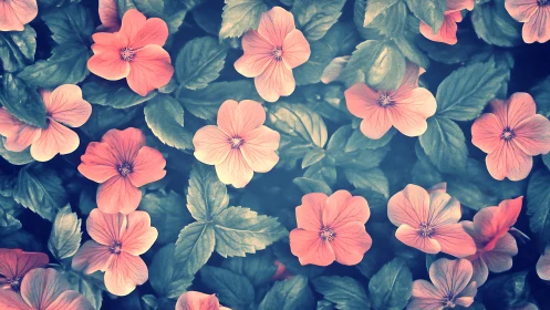 Coral Flowers Bloom Among Deep Teal Foliage