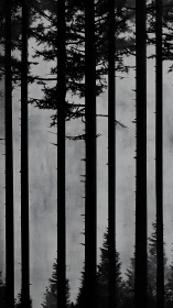 Vertical tree silhouettes in dense monochrome forest mist.