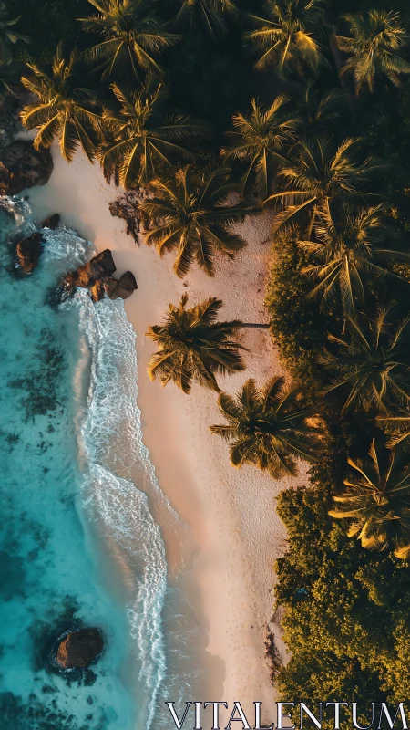 Tropical Paradise: Where Golden Palms Meet Turquoise Waves.