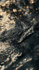 Surface water ripples reflect low warm directional light evenly