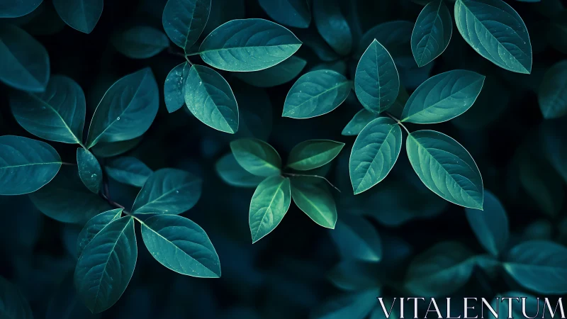 Emerald foliage cluster under moody low key lighting.