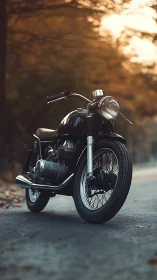 Vintage black motorcycle under warm autumn forest light.