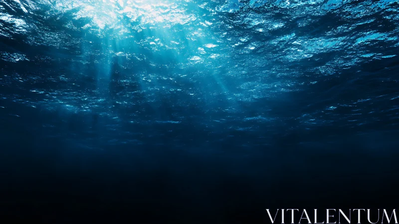 Sunlit ocean depths fall into a tranquil, mysterious blue