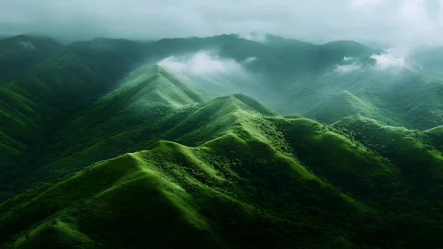 Mist-laden emerald ridgeline with soft diffused atmospheric light