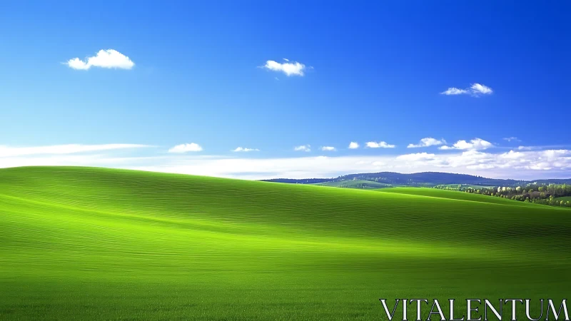 Aerodynamic grassland curvature under saturated sky gradient.