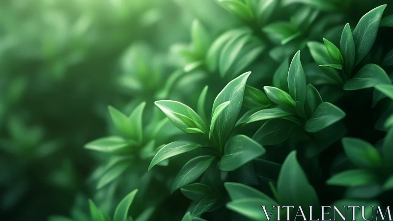 Lush emerald foliage under diffused ambient light rendering.