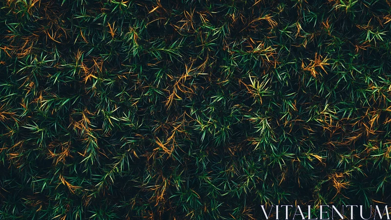 Overhead macro study of dense green and amber foliage texture
