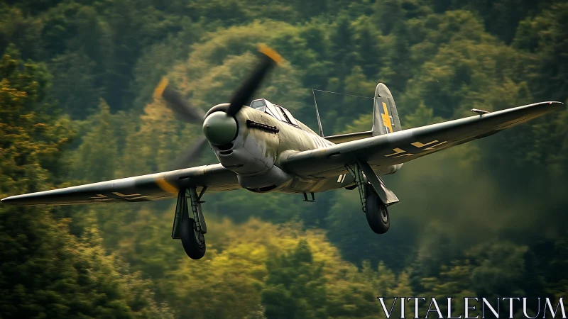 Low-altitude WWII fighter aircraft with extended landing gear