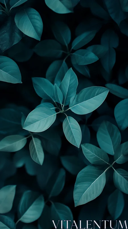 Teal foliage cluster in moody low key botanical study.
