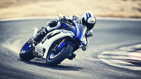 Sport bike carving a racetrack corner in full-flow motion.