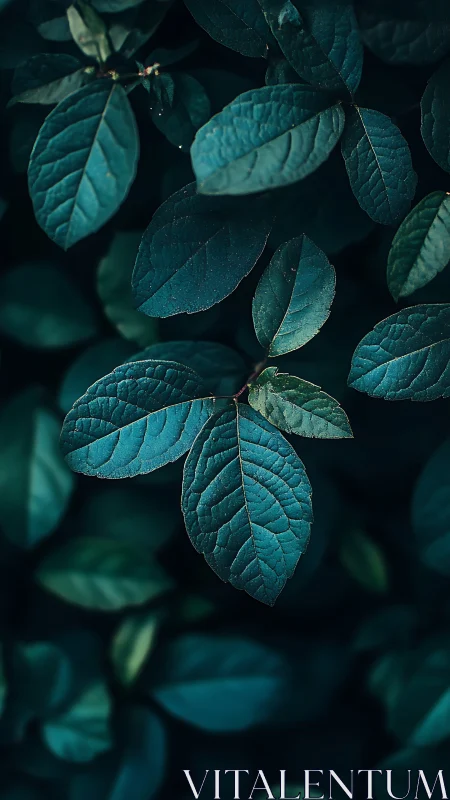Teal foliage macro study with deep bokeh background lighting.