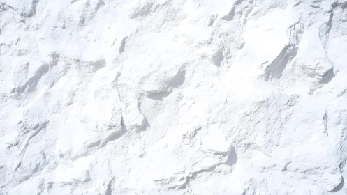 Bright sunlit white stone texture with rough natural surface.