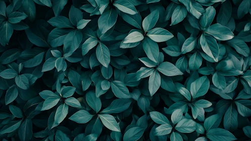 Emerald foliage pattern in soft moody overhead lighting.