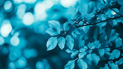 Close-up of tree branch with leaves in dreamy blue bokeh style.