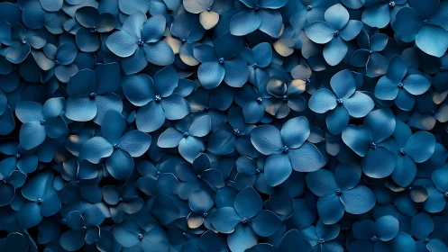 Deep blue hydrangea blossom wall with dense layered petals.