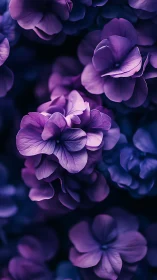 Purple Petals Dancing in Moody Floral Composition.