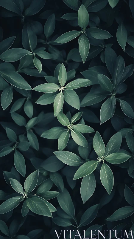 Soft midnight garden of overlapping emerald leaves.