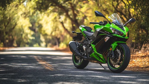 Photorealistic sport motorcycle on sunlit tree-lined roadway.