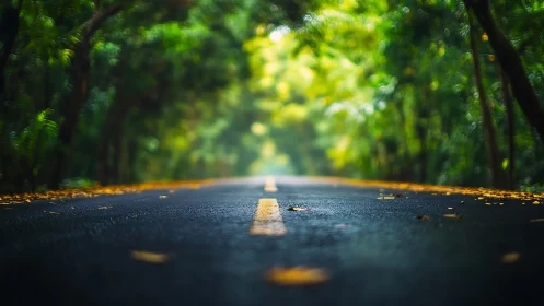 Road through emerald canopy under filtered sunlight. Deep perspective.