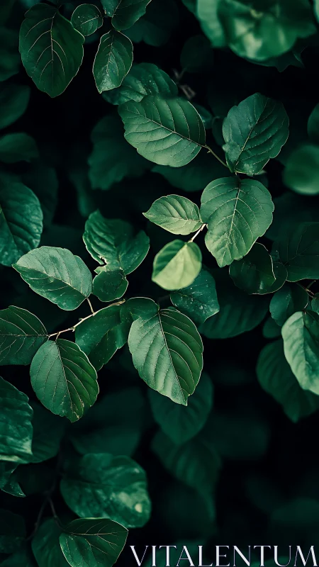 Midnight garden leaves whisper softly into emerald shadow