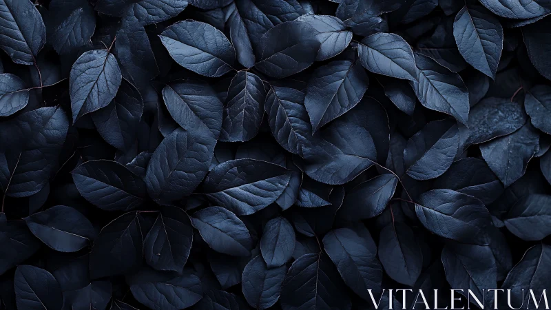 Midnight botanical leaf pattern in deep indigo tones.