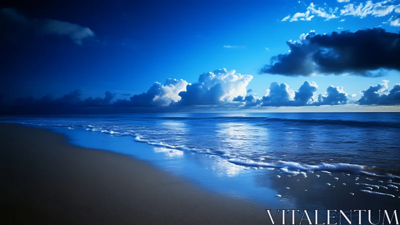 Wide shoreline view records calm sea and dense cloud bank