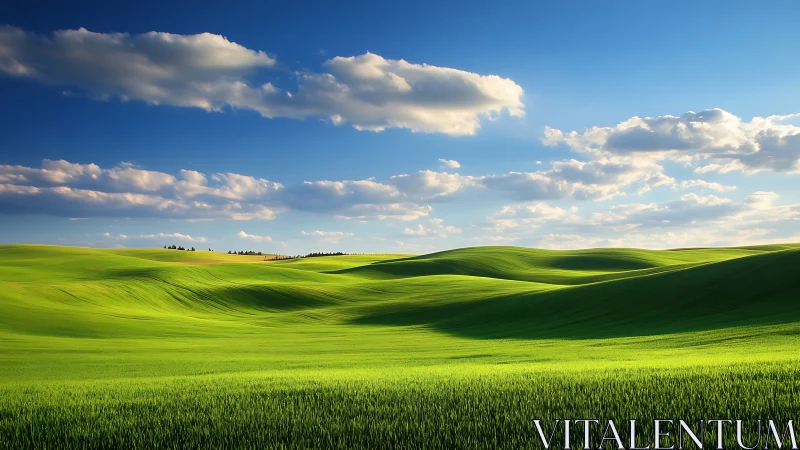 Green rolling fields under scattered cumulus cloud cover.