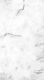 Textured white plaster wall with high key tonal contrast.
