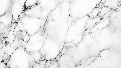 White marble surface shows subtle grey veining for clean luxury
