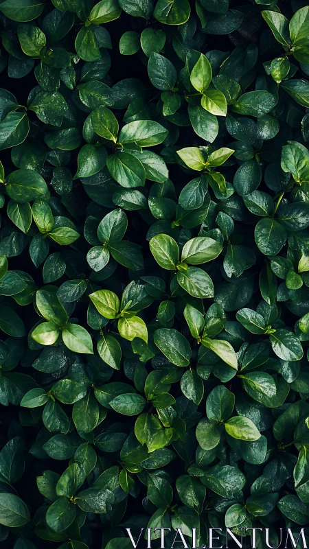Dense overlapping green foliage fills the vertical frame