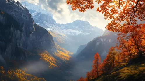 Autumn valley beneath snowy mountains in warm sunlight.