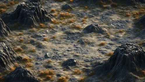 Rocky arid terrain with scattered shrubs and eroded mounds.