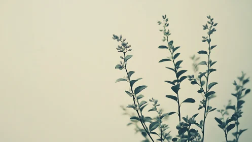 Minimalist botanical silhouette with soft neutral background.