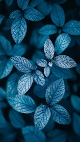 High-contrast macro study of blue-toned foliage with detailed venation