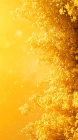 Golden blossom spray against sunlit bokeh field.