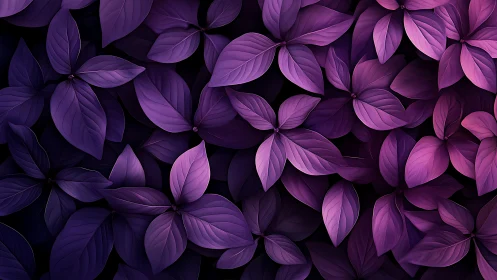 Overlapping purple leaves form a uniform, dense surface