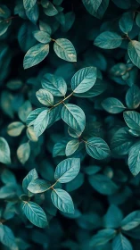 Gentle teal leaves offering a quiet moment of calm focus.