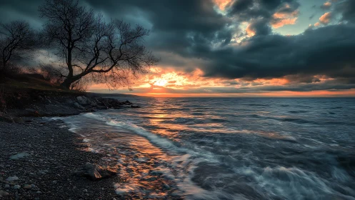 Rocky shoreline with bare tree at sunset under clouds.