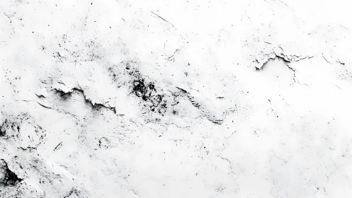 Cracked white plaster drifts like a quiet lunar landscape.