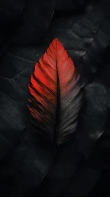Single red-tipped feather on dark leaf background.