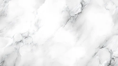 Bright white marble texture with soft gray organic veining.