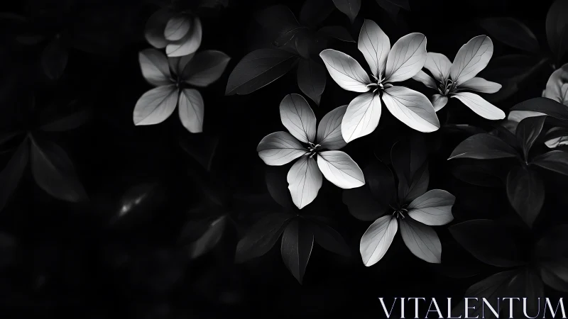 Luminous Petals Dance Through Midnight's Velvet Embrace.