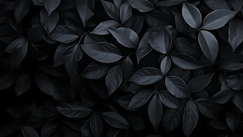 Dark monochrome foliage pattern in soft, low light.