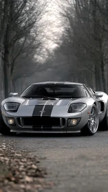 Sleek silver sports car rests calmly on a quiet tree road