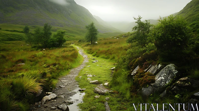 Misty mountain valley trail curves through lush green landscape