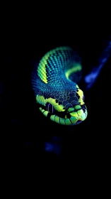 High-contrast macro view isolates neon-scaled snake in darkness