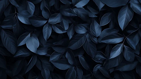 Midnight blue foliage forms a moody botanical background