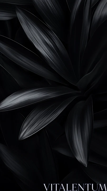 Velvety black leaves curl softly in calm, reflective light