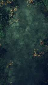 Aerial Forest Canopy with Golden Clearings.