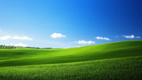 Green rolling grass hills under clear blue daytime sky.